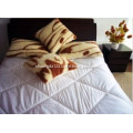 /msite/products/detail/productid/1017245/id/90136.html